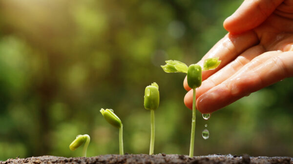 Agriculture.,Growing,Plants.,Plant,Seedling.,Hand,Nurturing,And,Watering,Young Agriculture.,Growing,Plants.,Plant,Seedling.,Hand,Nurturing,And,Watering,Young