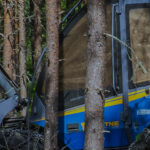 consultation_header