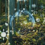 AI Innovations in Forestry: Exploring Future Trends and Directions