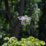 Interesting ForestTech Startups Transforming Forestry Worldwide
