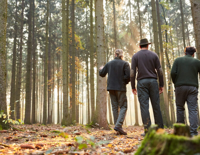 Three,Foresters,In,The,Woods,Make,A,Tour,In,The