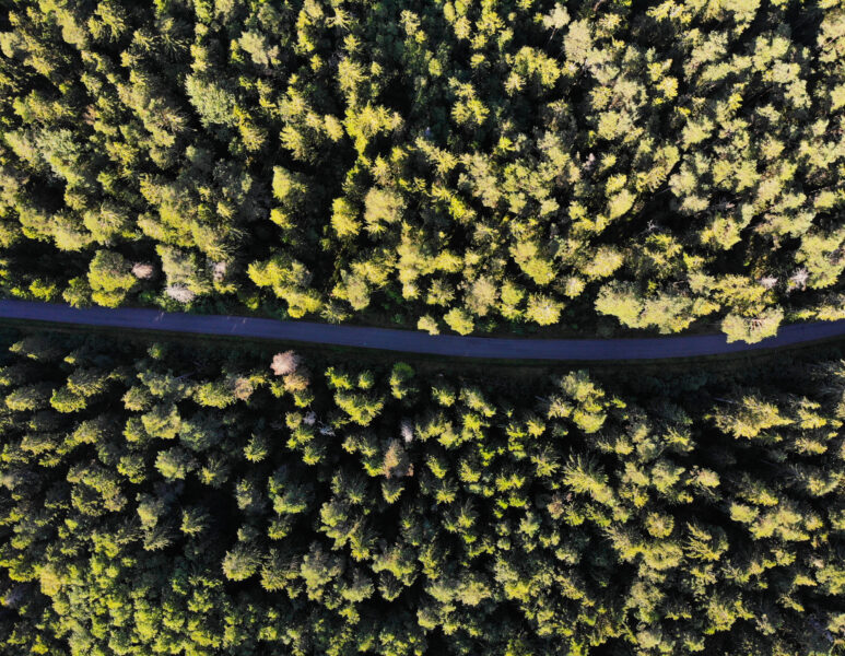 created by dji camera